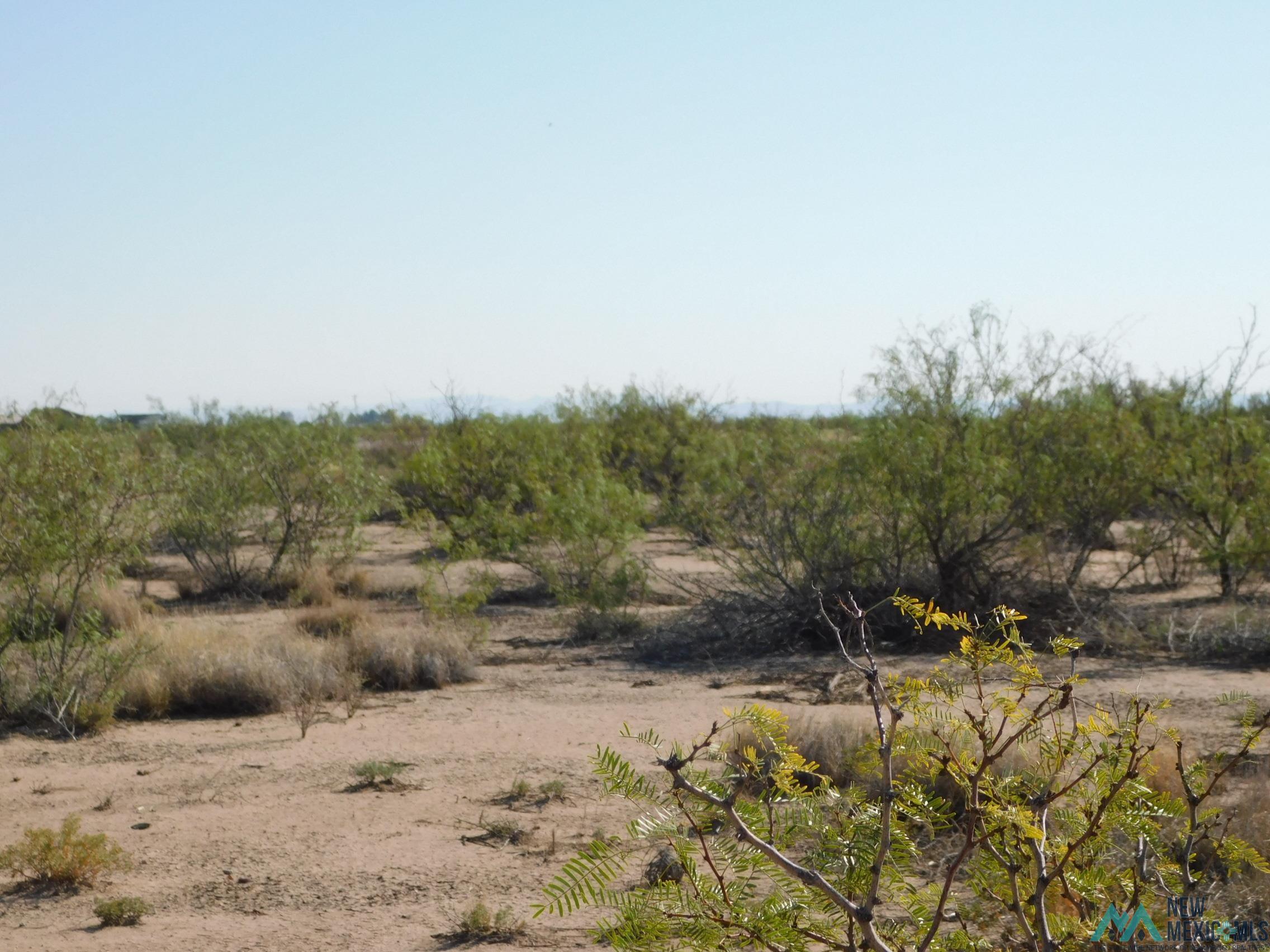 Xxxx Solana Rd Se, Deming, New Mexico image 11