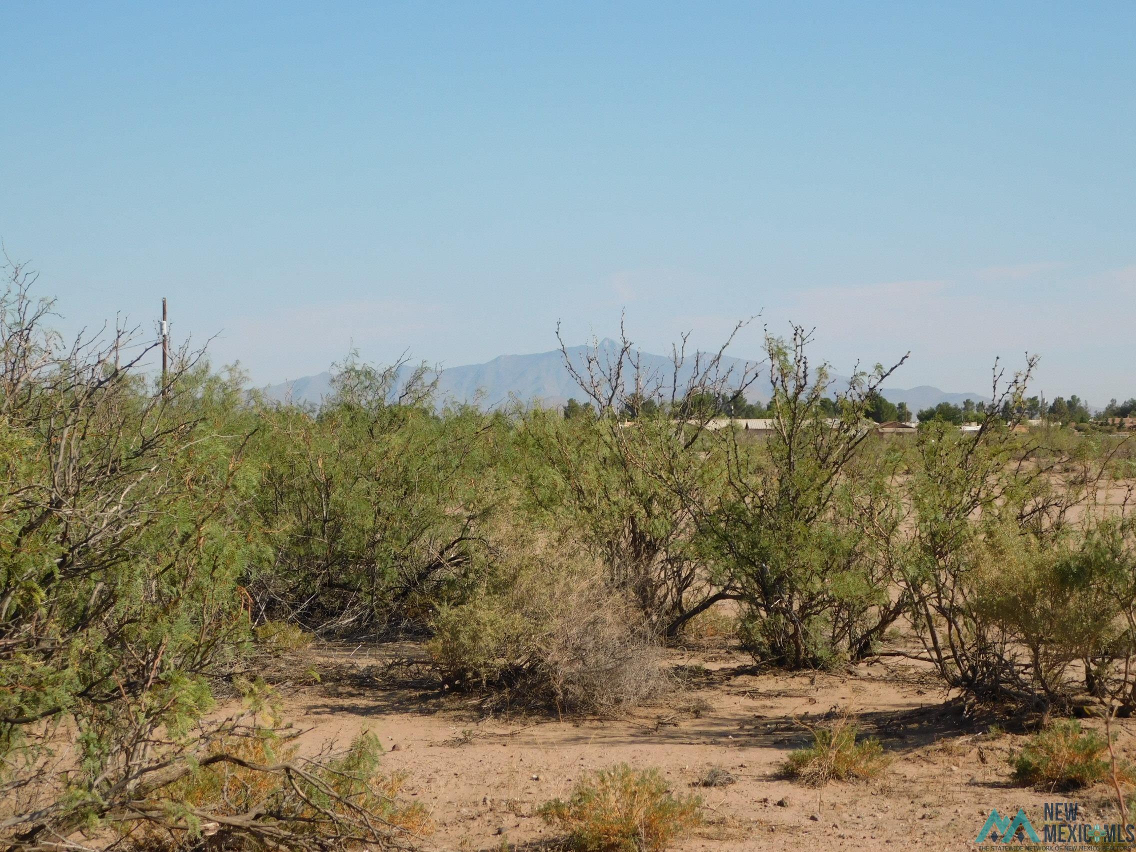 Xxxx Solana Rd Se, Deming, New Mexico image 9