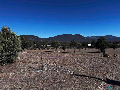 Vacant Land For Sale - LOTS 60-64 Oak Street<br/> Catron County, Reserve, NM 87830