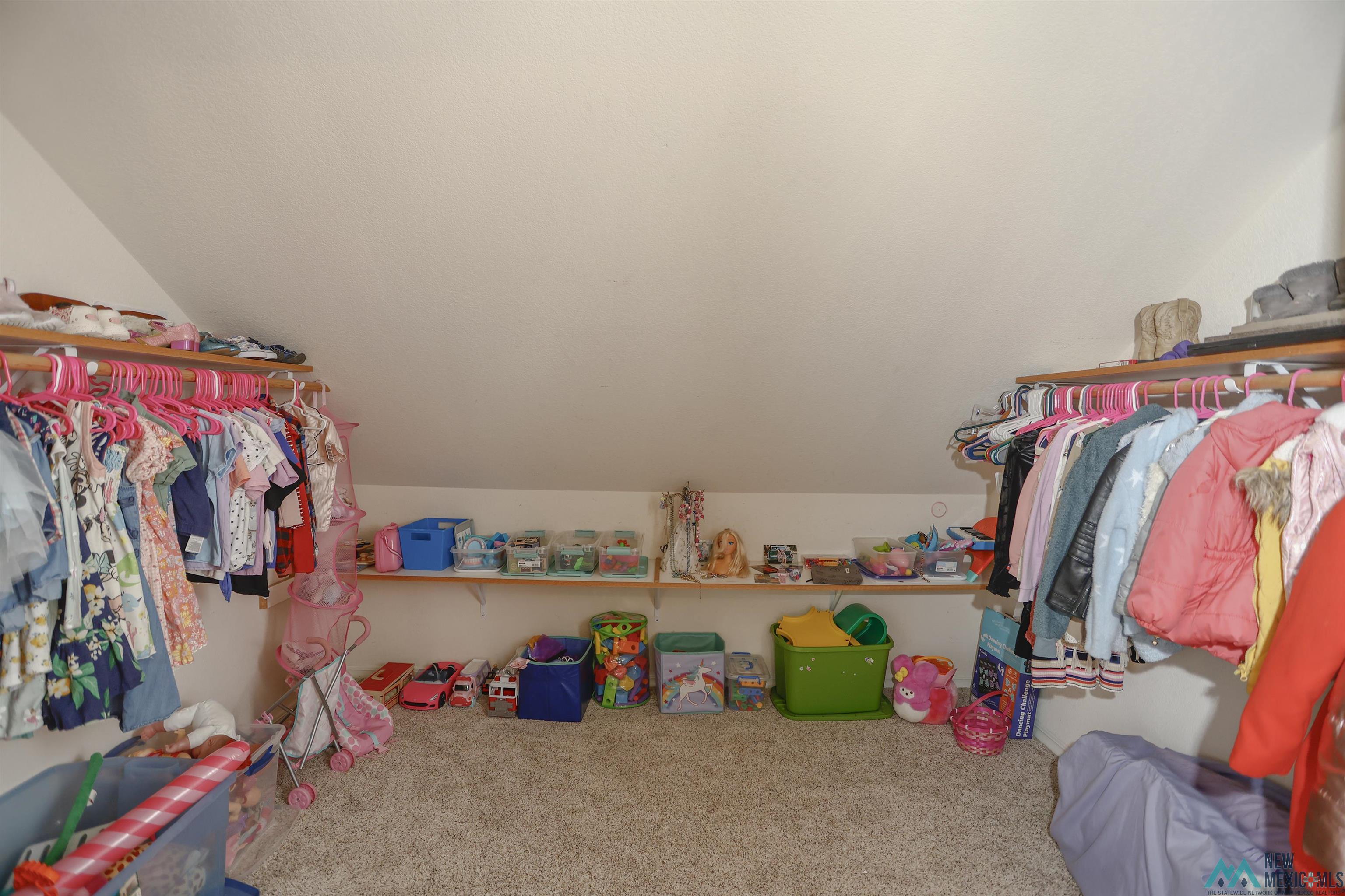 415 E Chapman Road, Carlsbad, Texas image 43
