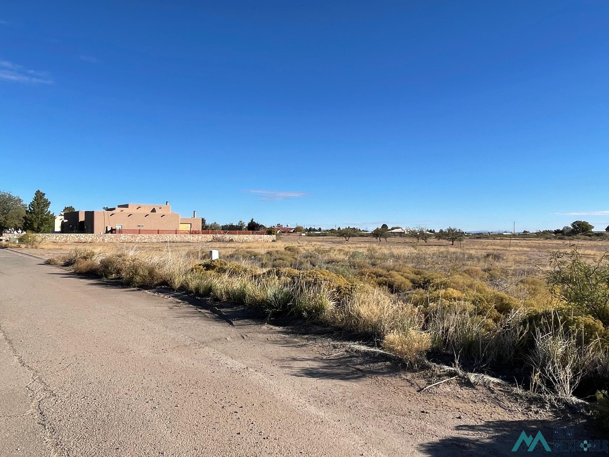 Appaloosa Drive Sw, Deming, New Mexico image 5