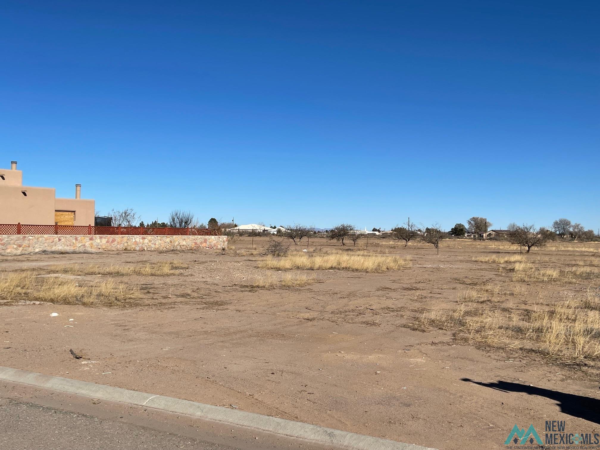 Appaloosa Drive Sw, Deming, New Mexico image 3