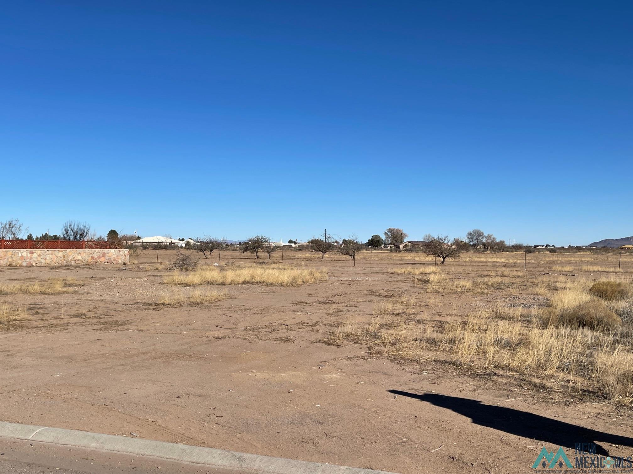 Appaloosa Drive Sw, Deming, New Mexico image 4