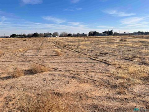 Vacant Land For Sale - E OF 503 Seneca Lane<br/> Eddy County, Carlsbad, NM 88220