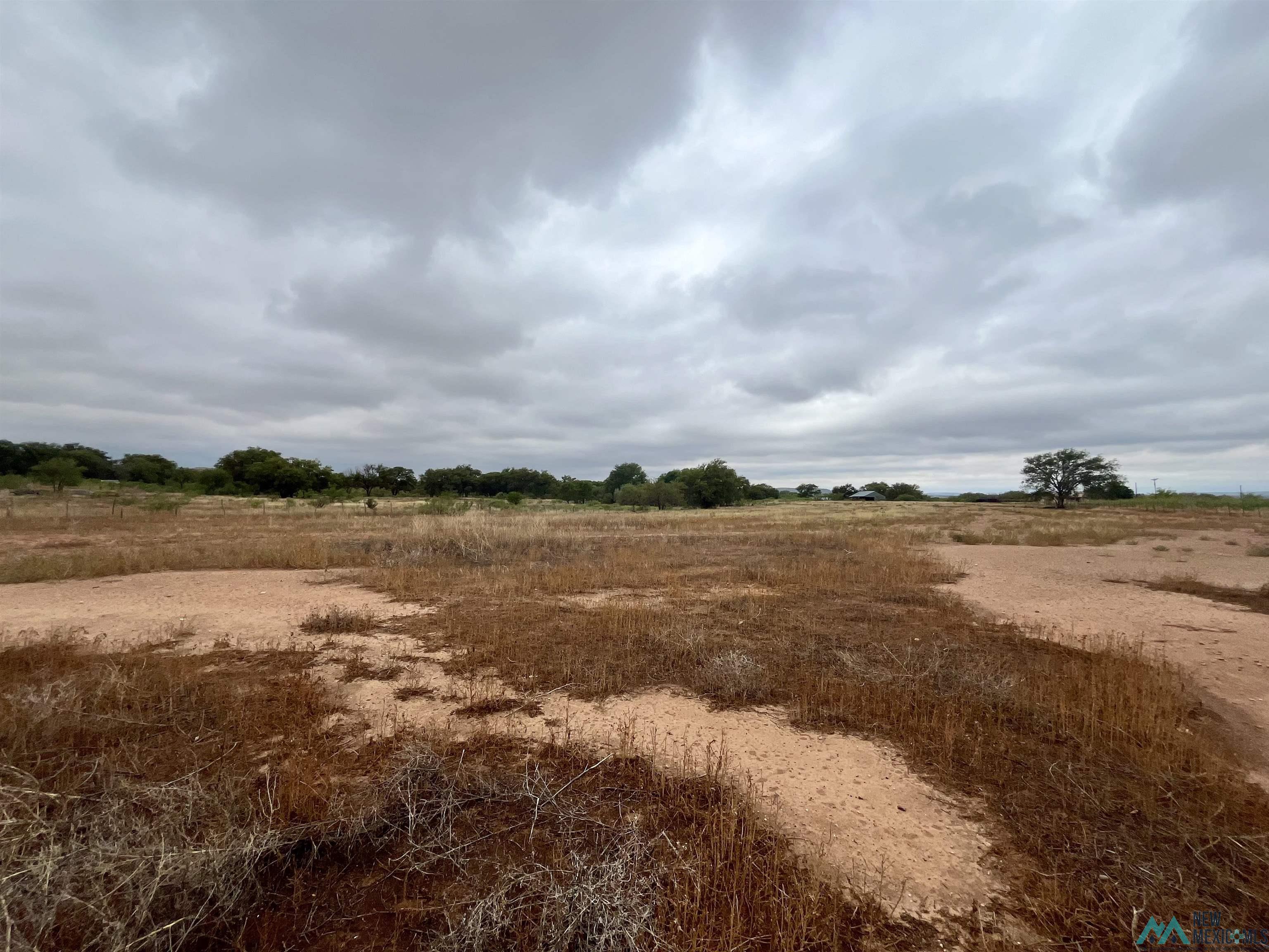 6291 Quay County Road Aq, Tucumcari, Texas image 41