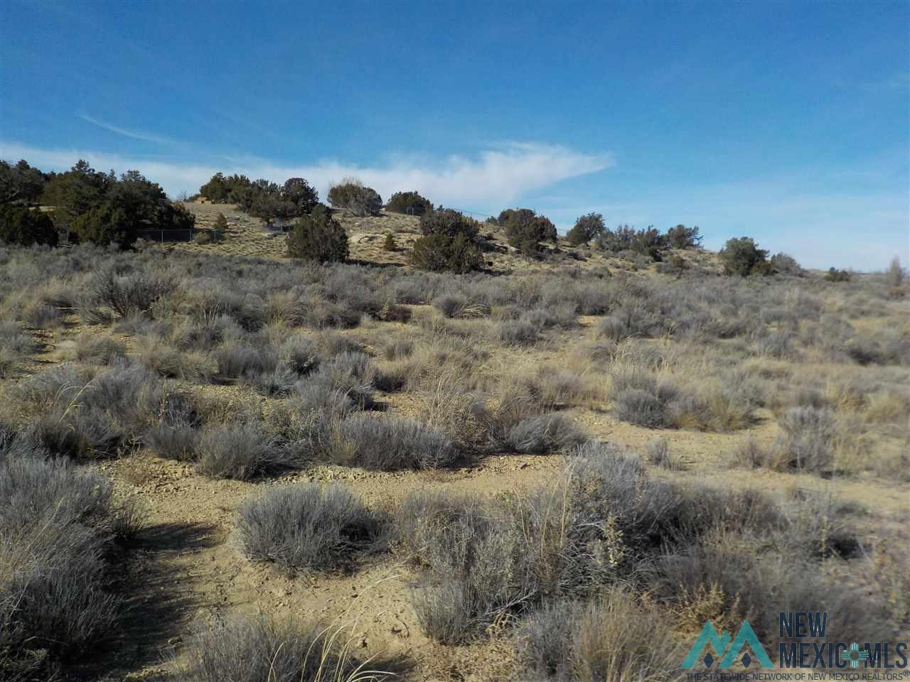 TBD Plateau Drive, Gallup, New Mexico image 3