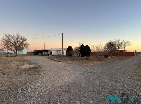 Homes For Sale - 452 Petree Road<br/> Hagerman, NM 88232