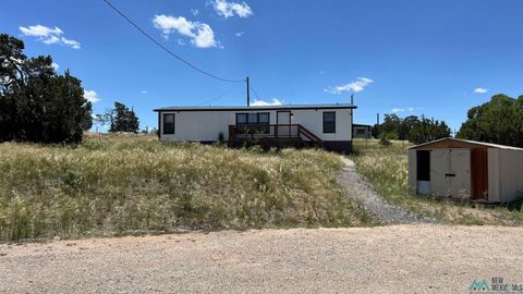 Homes For Sale - 5594 Us 60 Highway<br/> Catron County, Pie Town, NM 87827