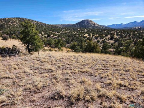 Vacant Land For Sale - 0000 Tbd Nm 169 State Road<br/> Magdalena, NM 87825