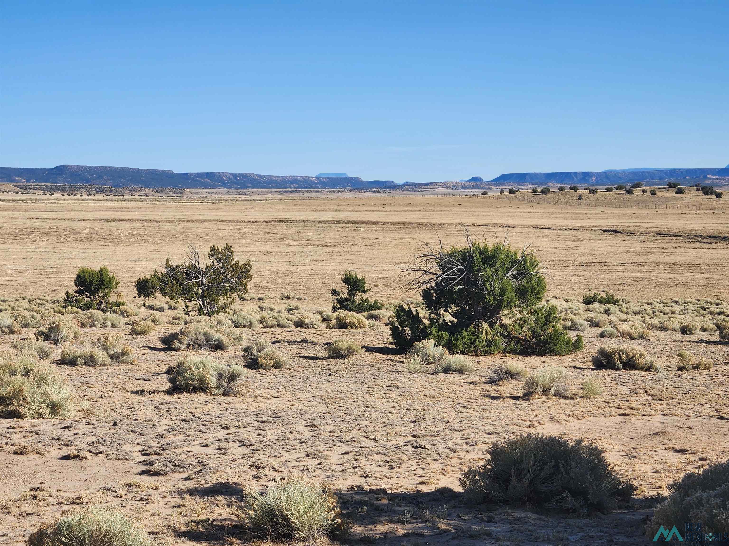 224 Pueblo Road, Quemado, Texas image 34