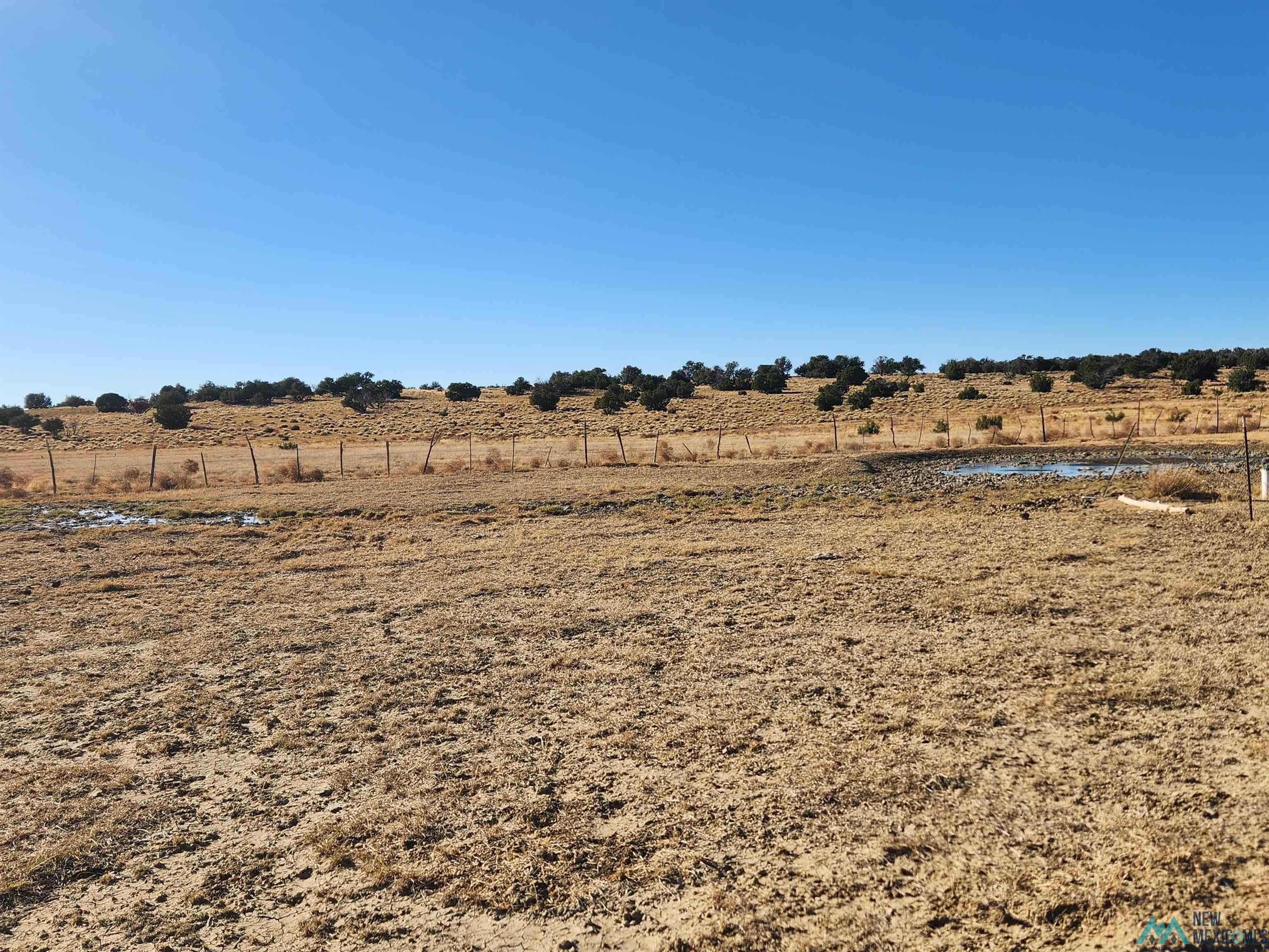 224 Pueblo Road, Quemado, Texas image 26