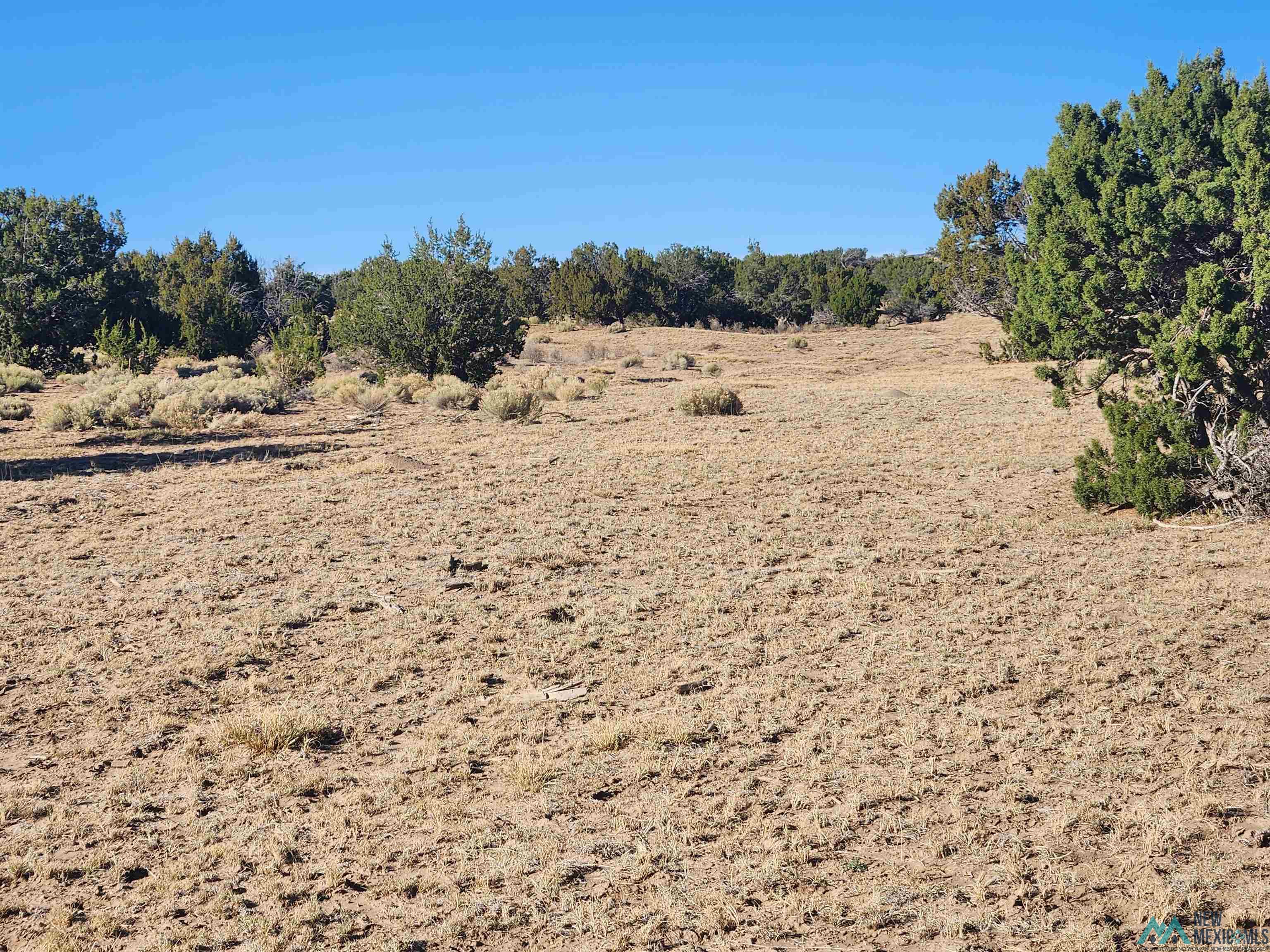 224 Pueblo Road, Quemado, Texas image 31