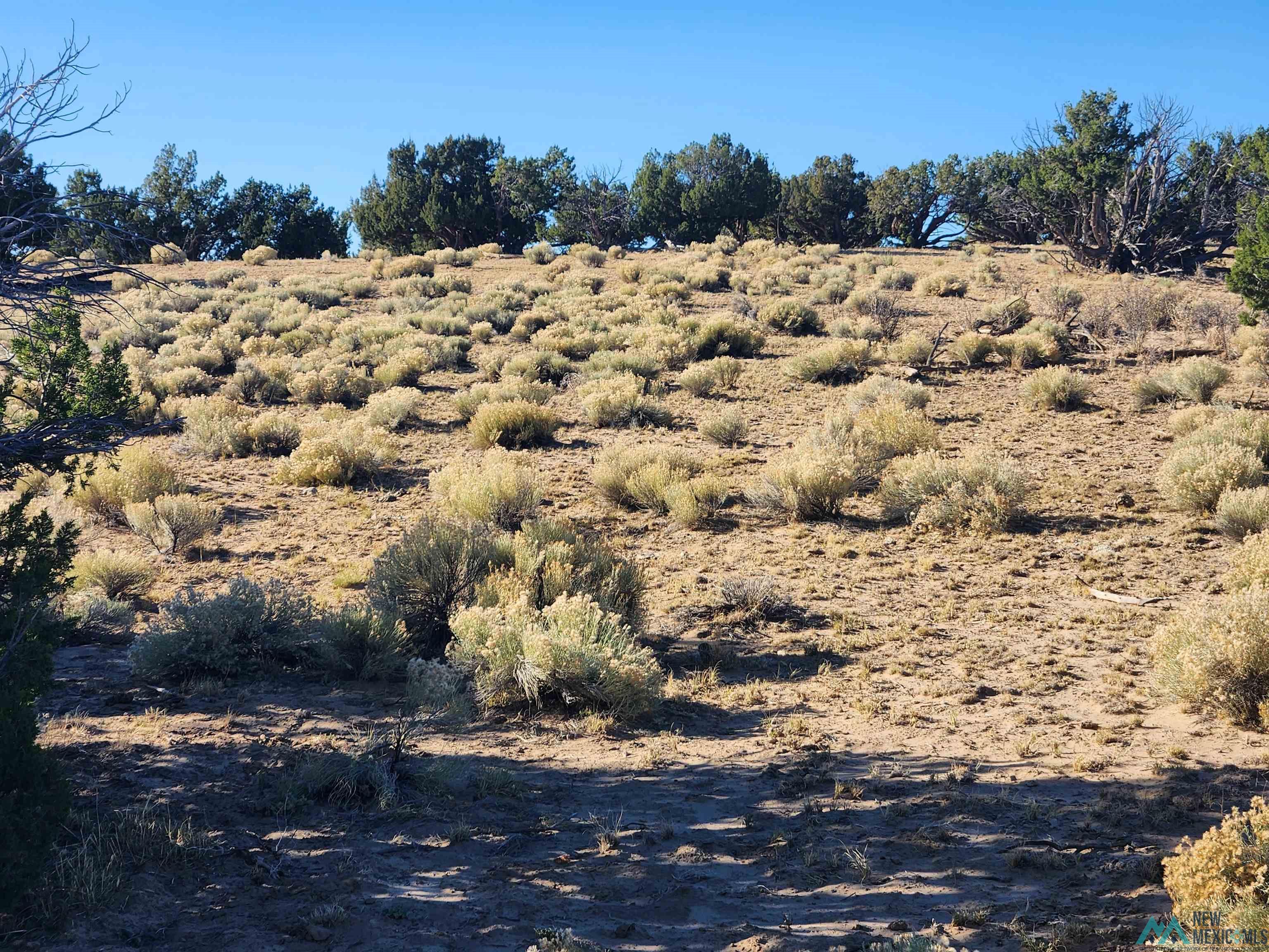 224 Pueblo Road, Quemado, Texas image 35