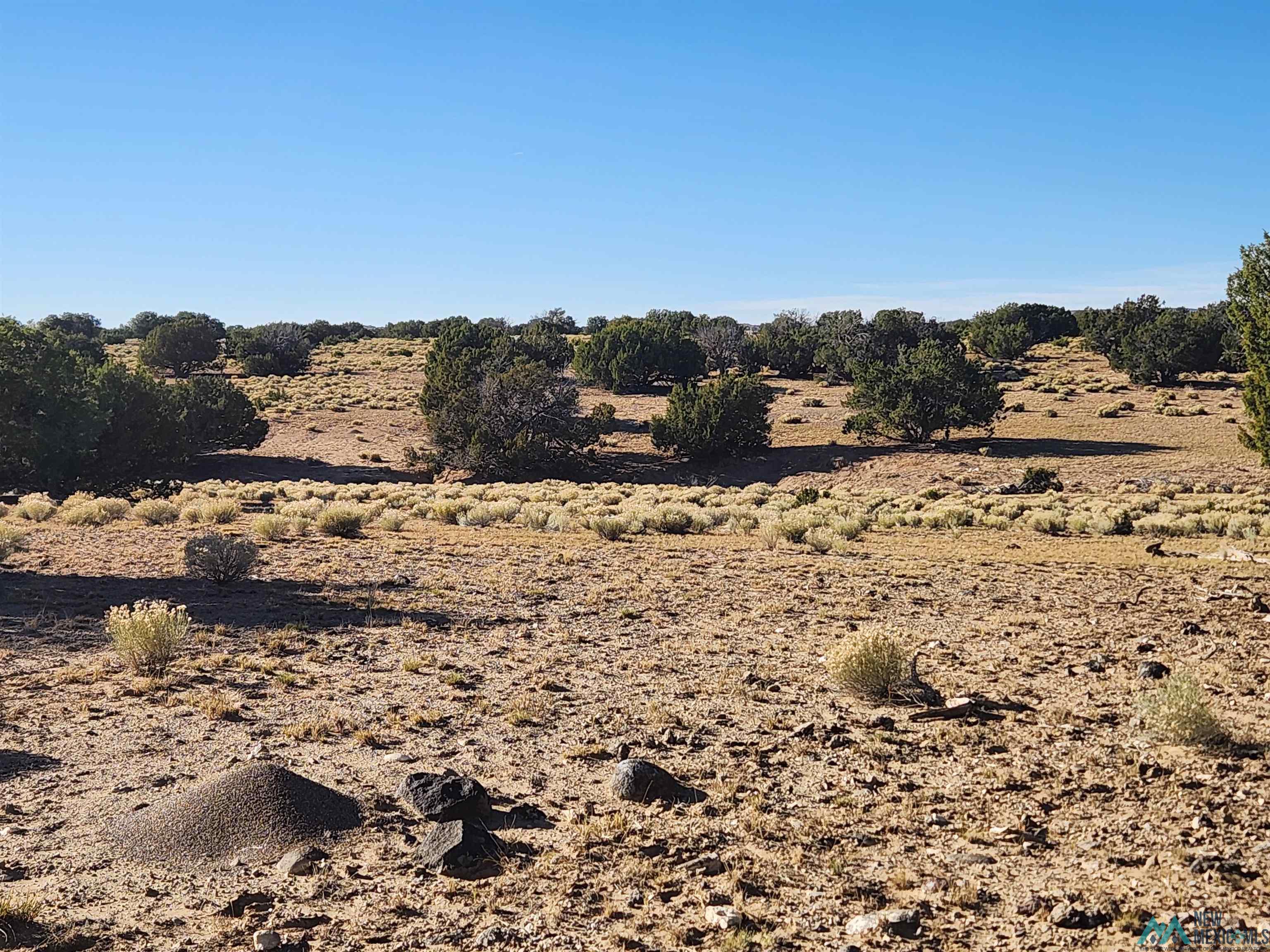 224 Pueblo Road, Quemado, Texas image 33