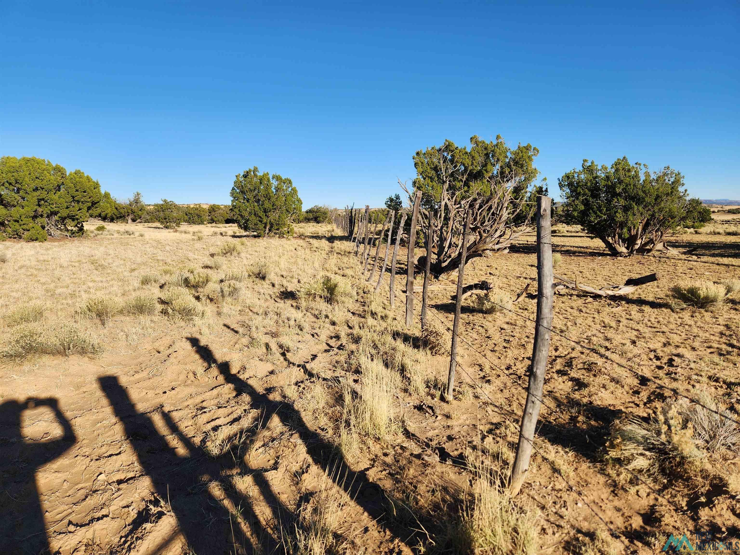 224 Pueblo Road, Quemado, Texas image 36