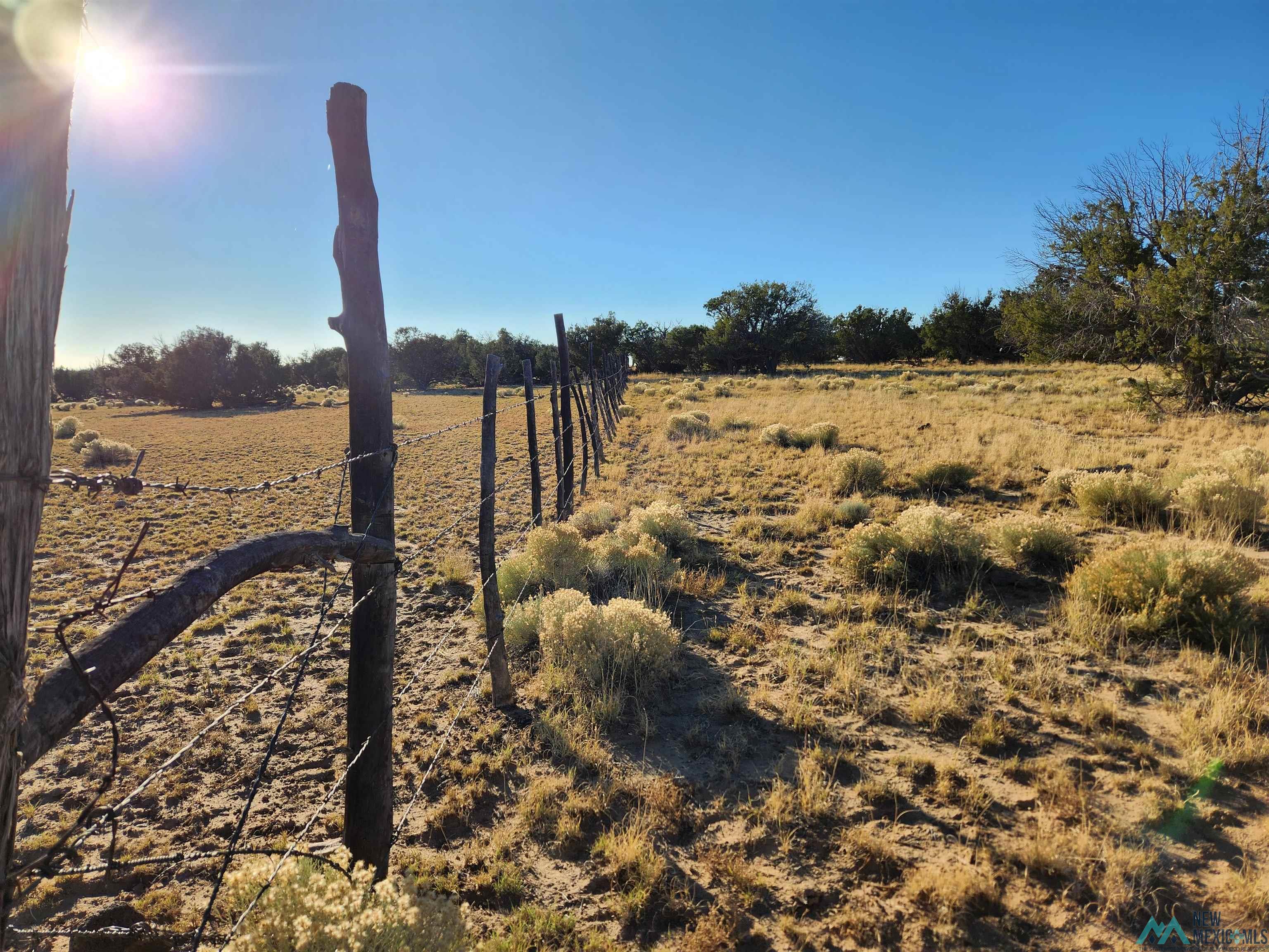 224 Pueblo Road, Quemado, Texas image 37