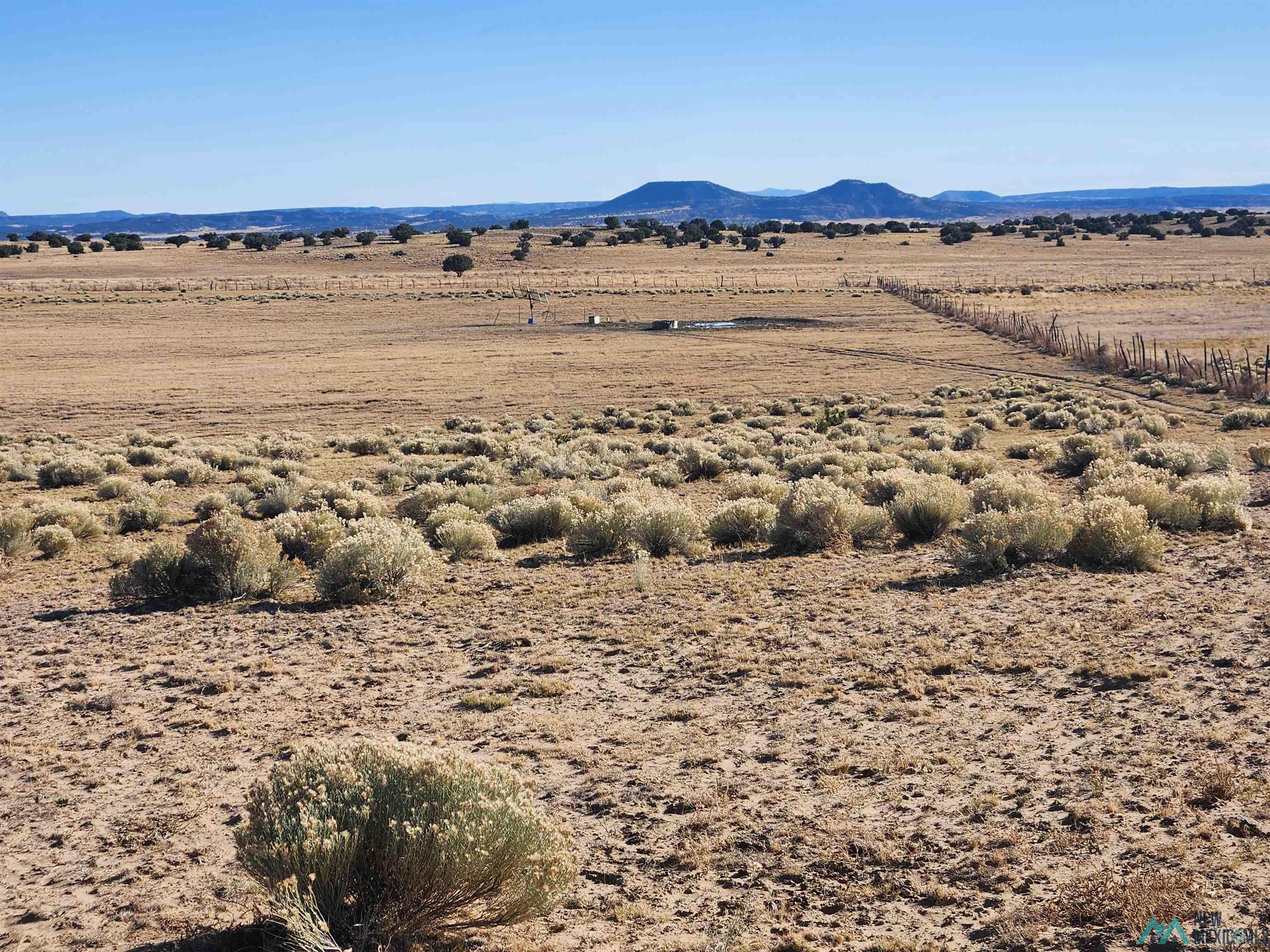 224 Pueblo Road, Quemado, Texas image 25