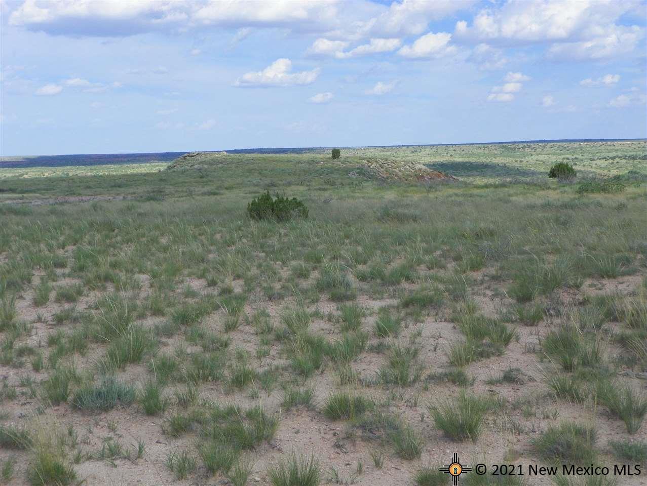 7H Lot Quay Road Ai, Tucumcari, New Mexico image 10