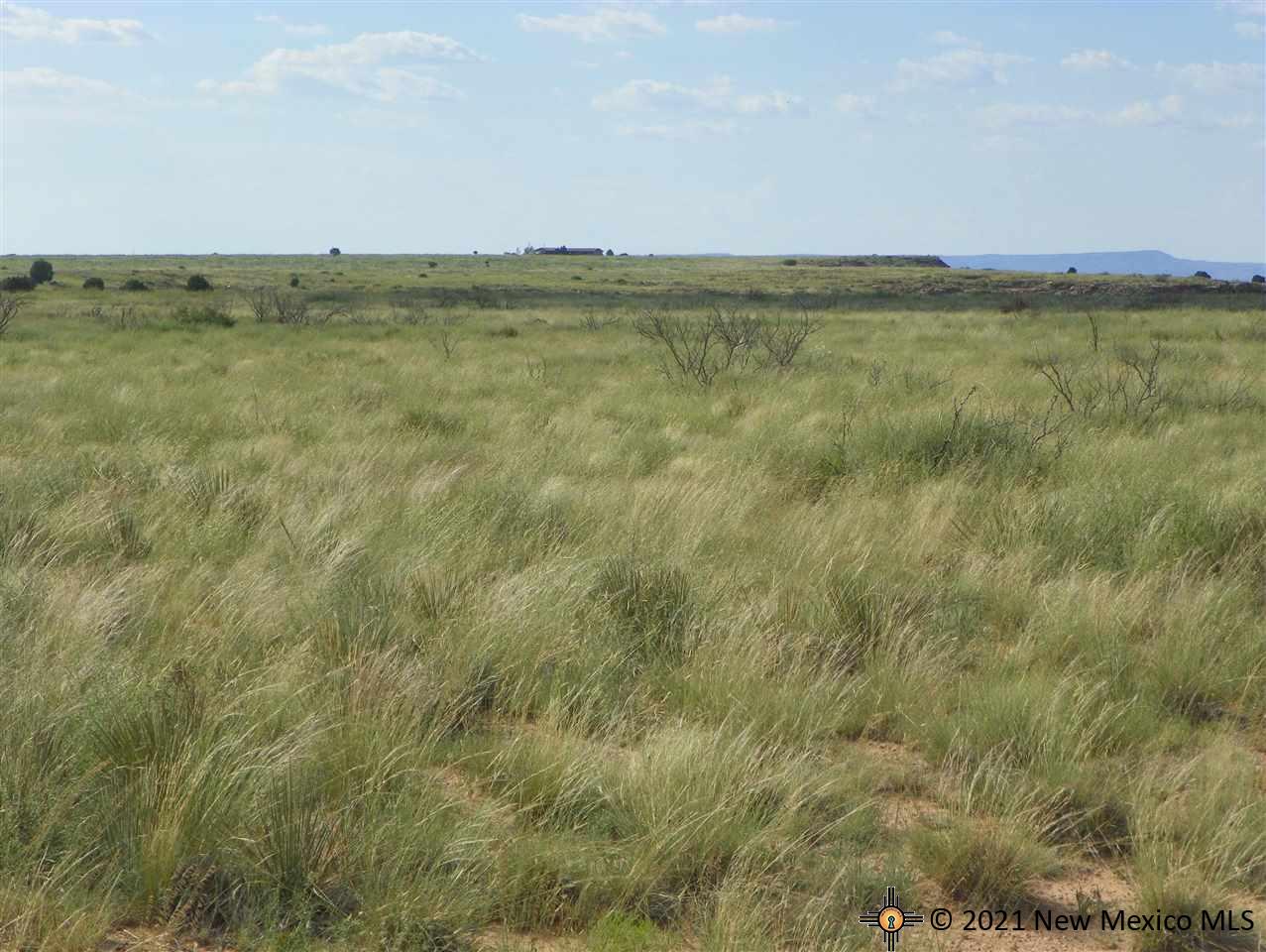 7H Lot Quay Road Ai, Tucumcari, New Mexico image 8