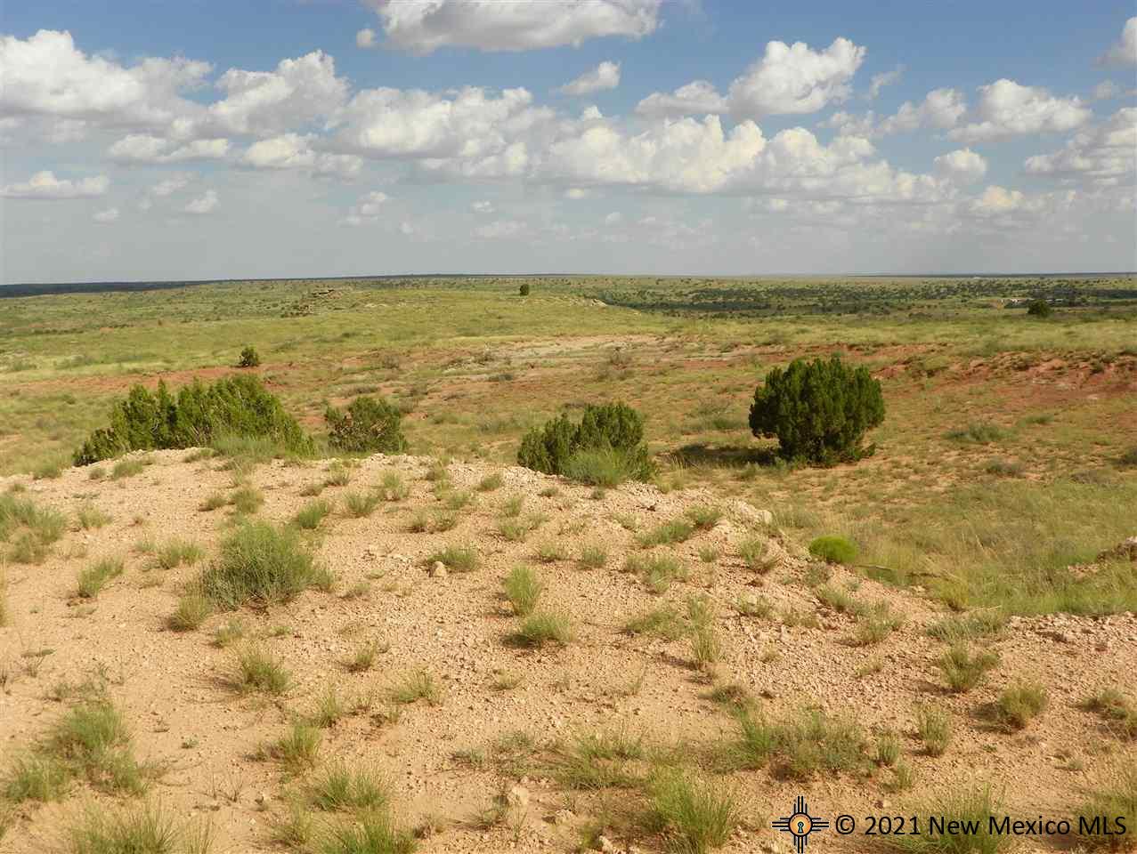 7H Lot Quay Road Ai, Tucumcari, New Mexico image 6