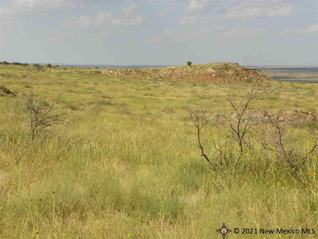 7H Lot Quay Road Ai, Tucumcari, New Mexico image 22