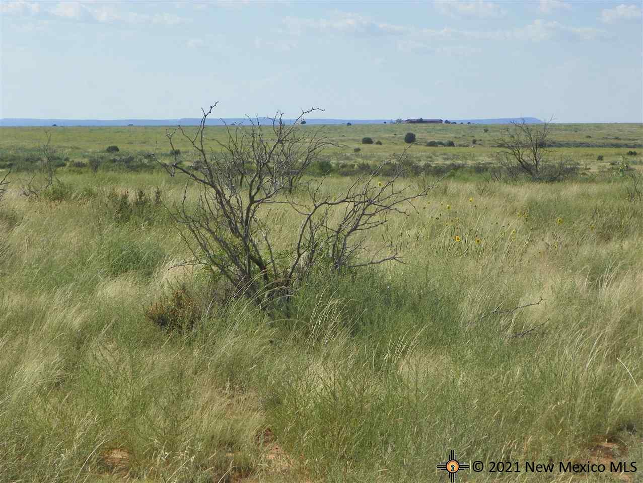 7H Lot Quay Road Ai, Tucumcari, New Mexico image 17