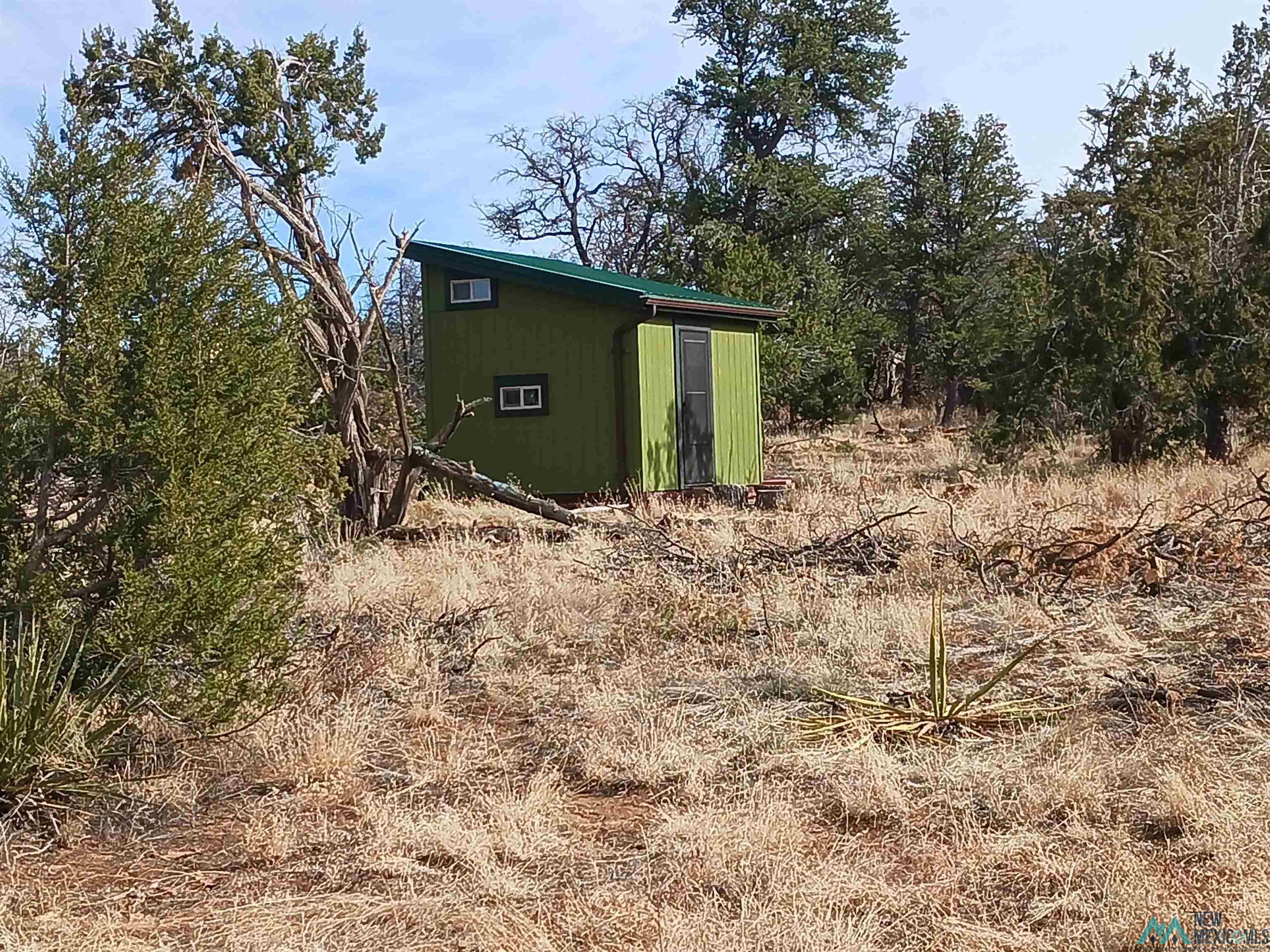 291 Pine Drive, Ramah, Texas image 3