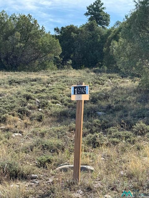 Vacant Land For Sale - 196 341 Road<br/> Rio Arriba County, Chama, NM 87520