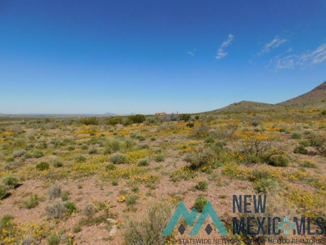 N Of 713 Ridgecrest Drive, Carlsbad, New Mexico image 10