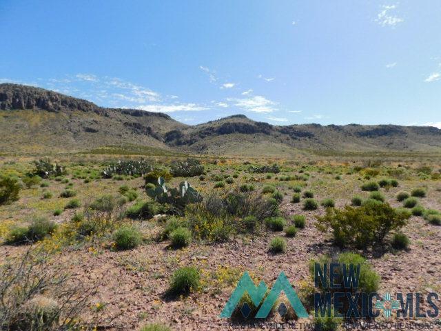 N Of 713 Ridgecrest Drive, Carlsbad, New Mexico image 6