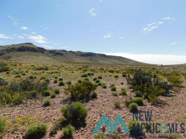 N Of 713 Ridgecrest Drive, Carlsbad, New Mexico image 5