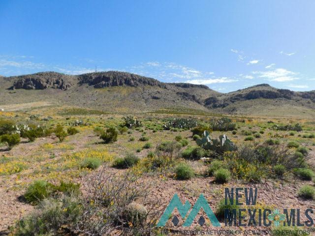 N Of 713 Ridgecrest Drive, Carlsbad, New Mexico image 7