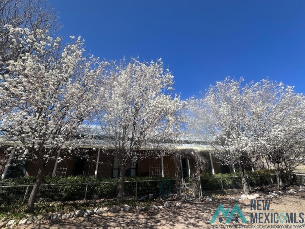 24 Plaza De Monticello Rd, Monticello, New Mexico image 41