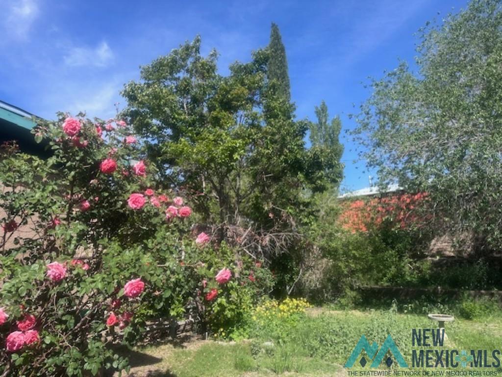 24 Plaza De Monticello Rd, Monticello, New Mexico image 50