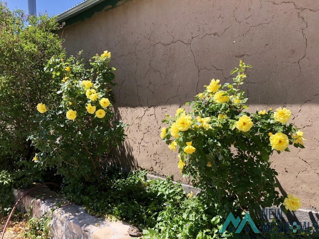 24 Plaza De Monticello Rd, Monticello, New Mexico image 37