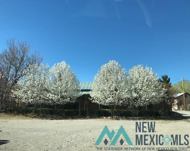 24 Plaza De Monticello Rd, Monticello, New Mexico image 42