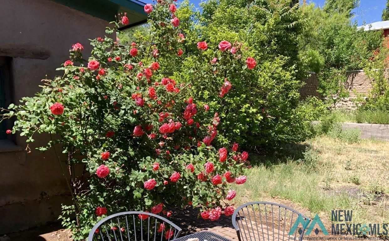 24 Plaza De Monticello Rd, Monticello, New Mexico image 35