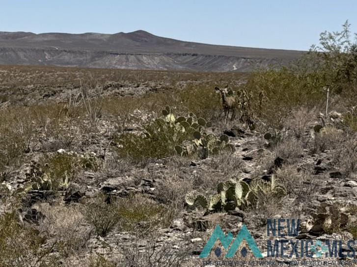 Lot 5 Armendaris Road, Truth Or Consequences, Texas image 6