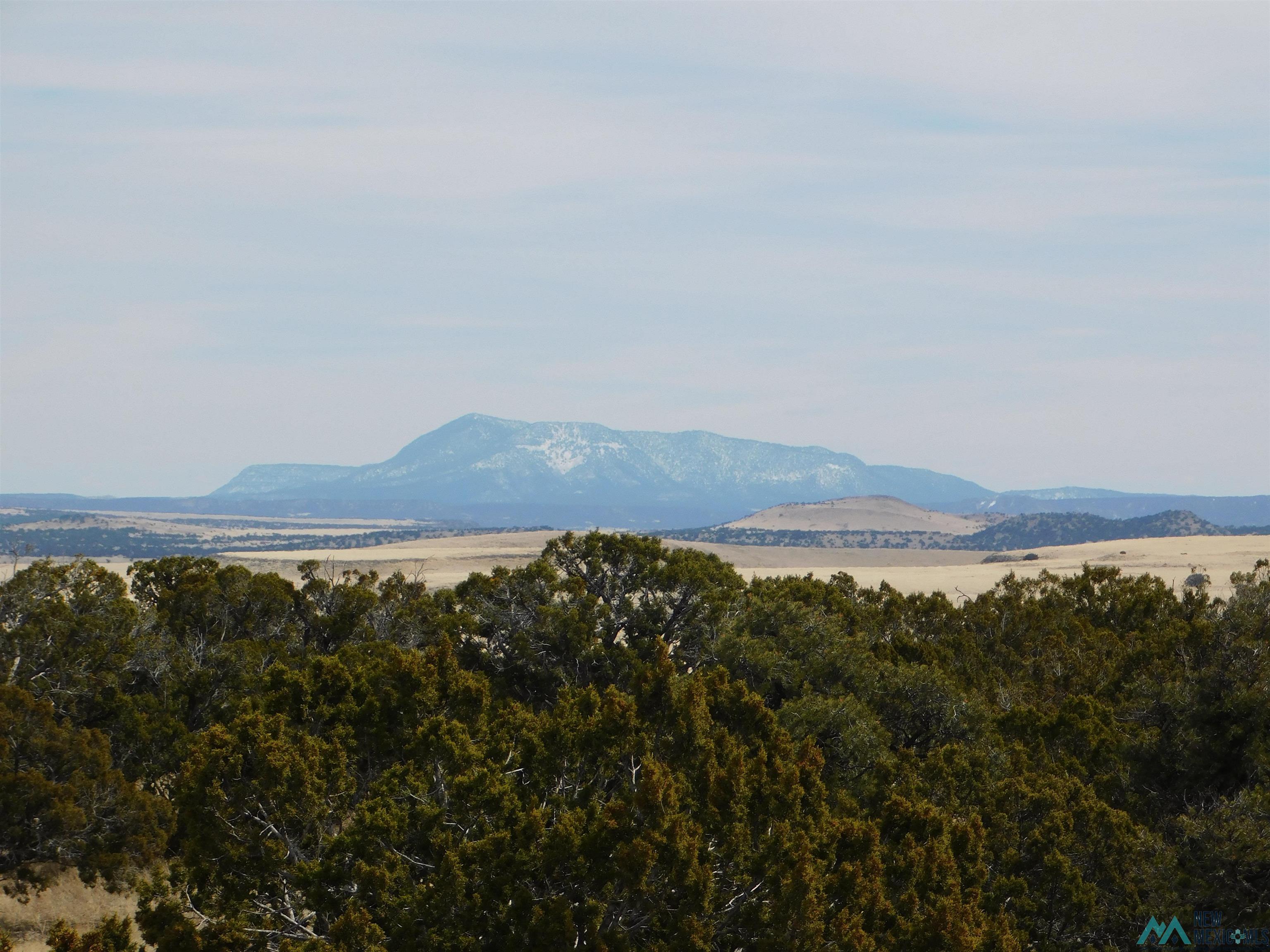 18 Cimarron Drive, Quemado, Texas image 14