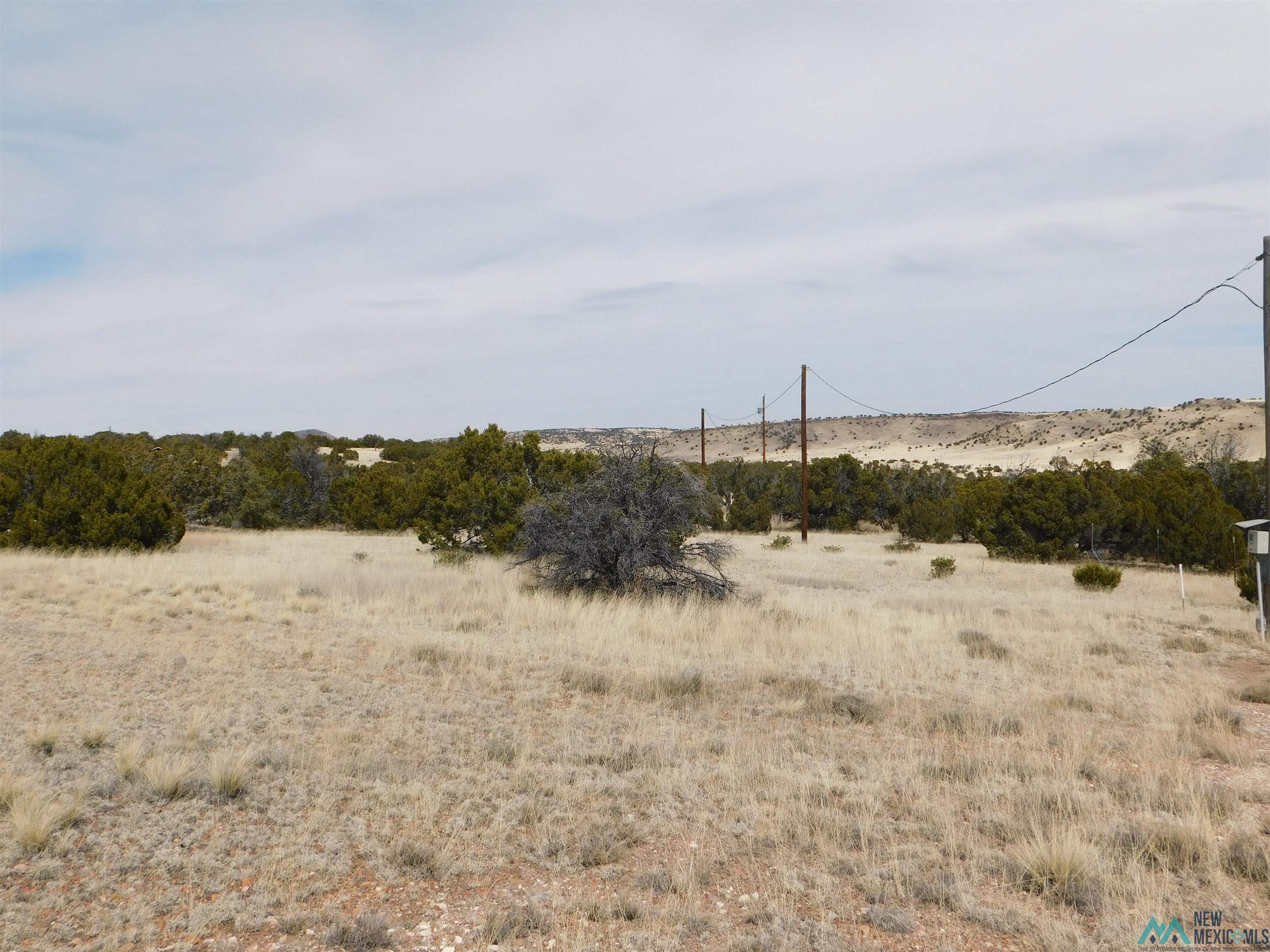 18 Cimarron Drive, Quemado, Texas image 17