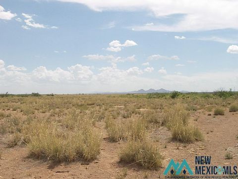 Vacant Land For Sale - 0000 Cebada Rd Se<br/> Deming, NM 88030