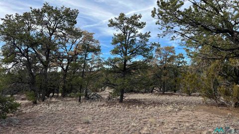 Vacant Land For Sale - TBD Apache Road<br/> Quemado, NM 87829