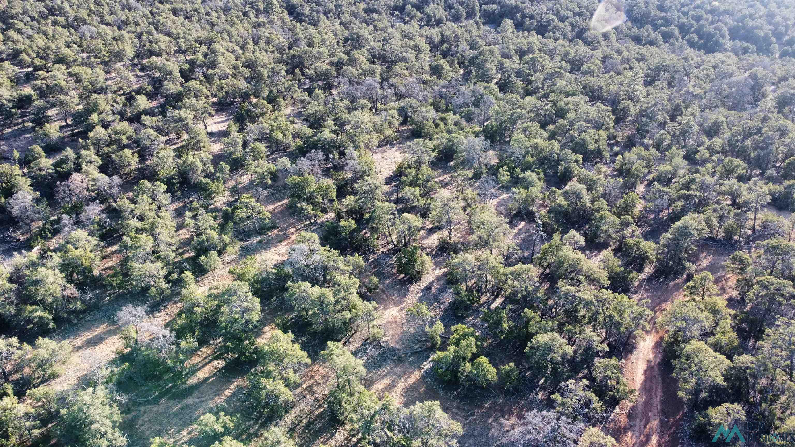 5 Misty Lane, Candy Kitchen, Texas image 5