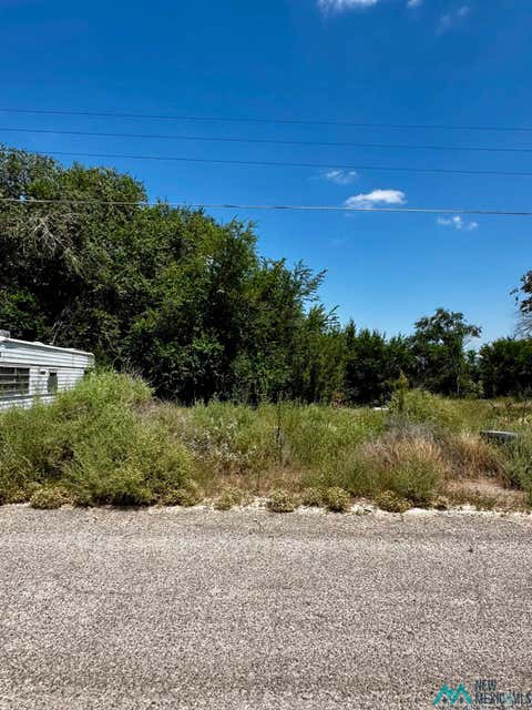 Vacant Land For Sale - 29 E Phoenix Road<br/> Dexter, NM 88230
