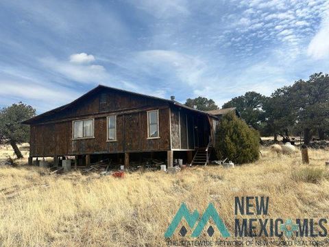 Homes For Sale - 19 Cedar Lane<br/> Quemado, NM 87829