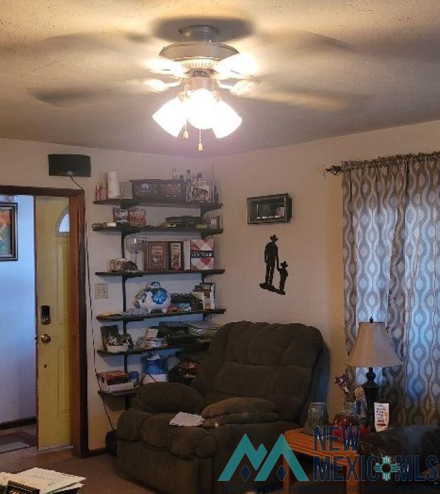107 N Second Street, Carlsbad, New Mexico image 6