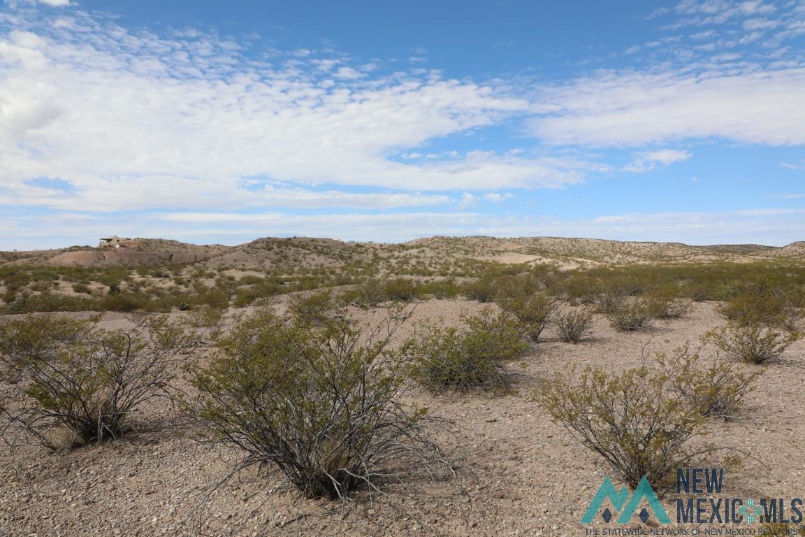 0001 Mustang Road, Elephant Butte, Texas image 6