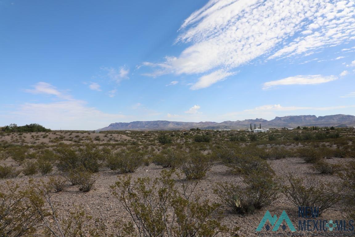 0001 Mustang Road, Elephant Butte, Texas image 3