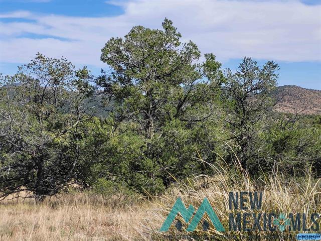 XX Moon Shadow Road, Hanover, New Mexico image 7