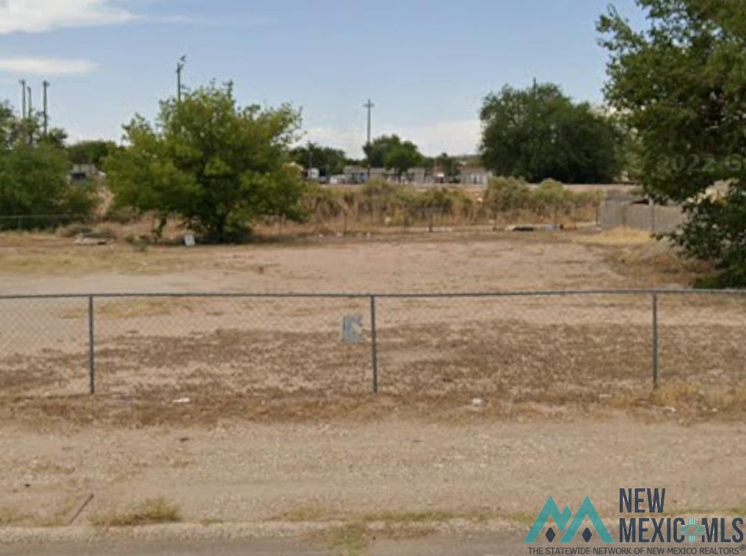 407 N Maple Street, Carlsbad, New Mexico image 1